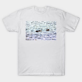 Ducks in a Row T-Shirt